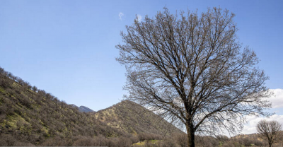 مخمل کوه در گستره زاگرس استان لرستان