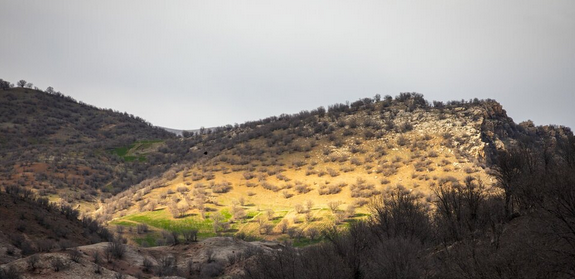 مخمل کوه در گستره زاگرس استان لرستان