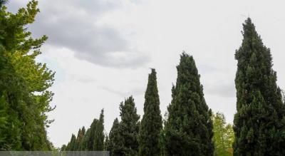 عکس/ باغ گیاه شناسی تهران