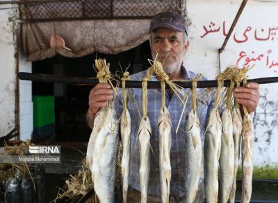 عکس/ ماهی دودی