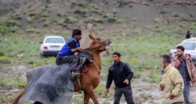 عکس/ کورس اسبدوانی بهاره بجنورد