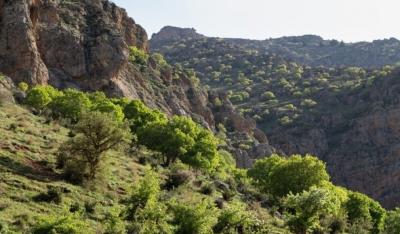 طبیعت بهاری دره خان ارومیه 