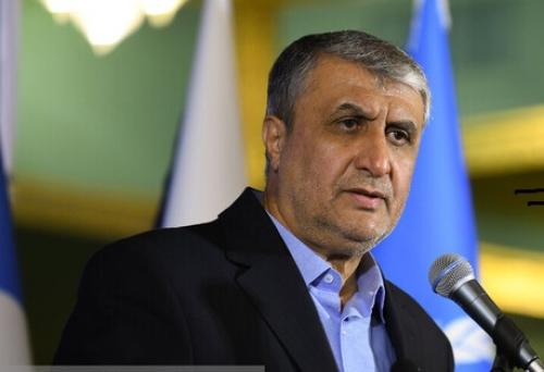 نیروگاه بوشهر اواخر خرداد به مدار برمی‌گردد/ معاون گروسی به ایران می‌آید