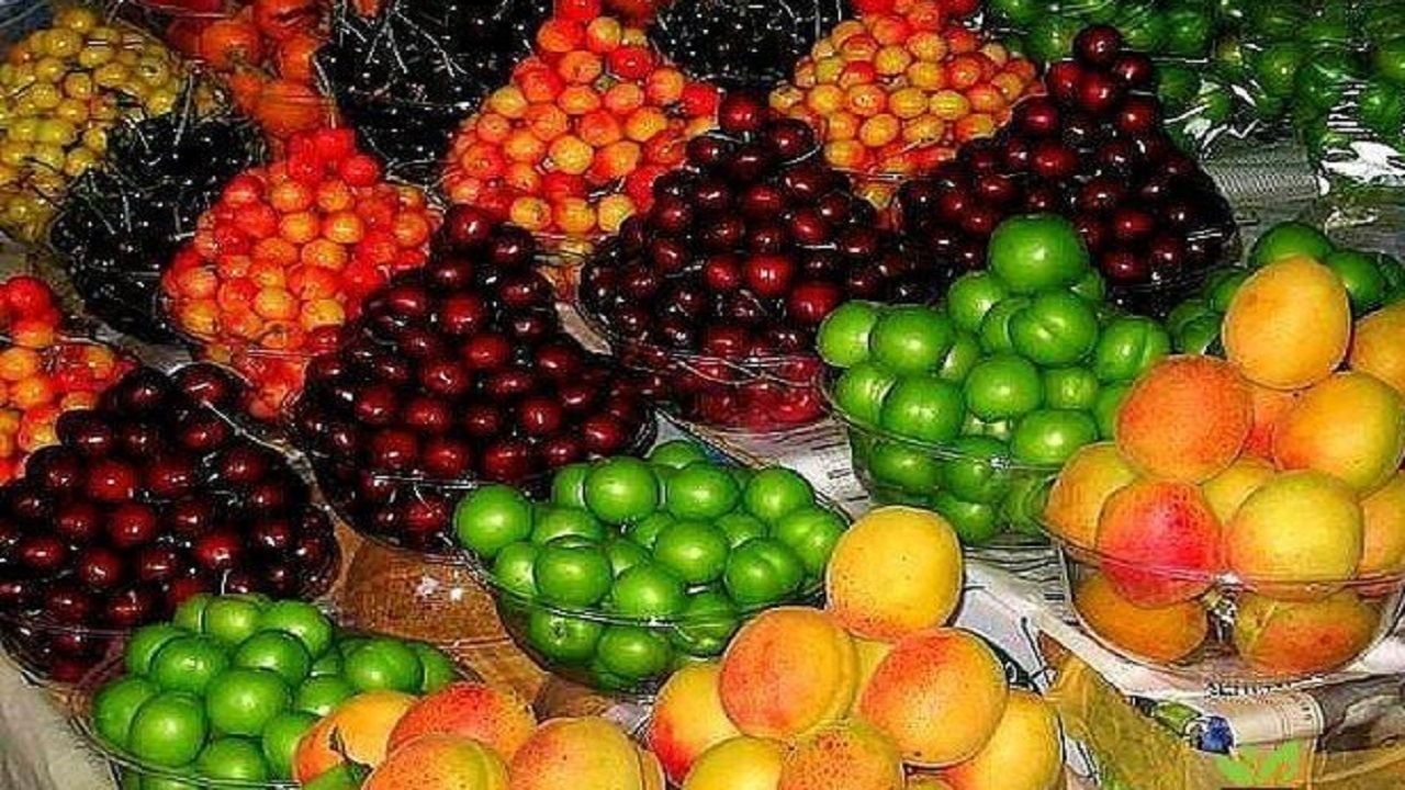  قیمت میوه‌های نوبرانه اعلام شد