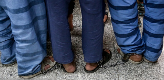 کشف ۲۰ راس گاو سرقت شده در جنوب تهران/ قاچاقچی شیشه بازداشت شد