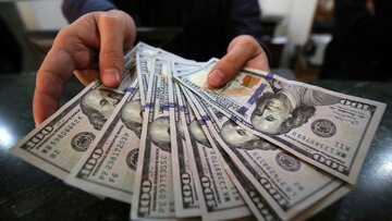 بخشی از کالاهای وارداتی، در حال متروکه شدن 