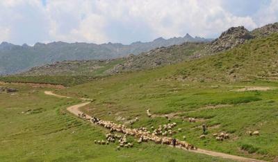 نغمه زیبای کوچ عشایر ایل "قره‌داغ" آذربایجان/ عکس