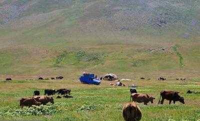 نغمه زیبای کوچ عشایر ایل "قره‌داغ" آذربایجان/ عکس