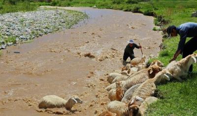نغمه زیبای کوچ عشایر ایل "قره‌داغ" آذربایجان/ عکس