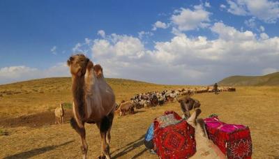 نغمه زیبای کوچ عشایر ایل "قره‌داغ" آذربایجان/ عکس
