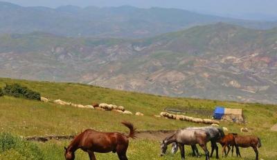 نغمه زیبای کوچ عشایر ایل "قره‌داغ" آذربایجان/ عکس
