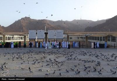 زیارت دوره زائران در مدینه منوره 