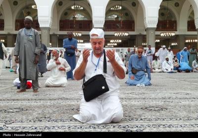 زیارت دوره زائران در مدینه منوره 