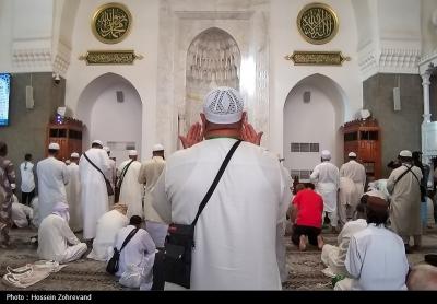 زیارت دوره زائران در مدینه منوره 