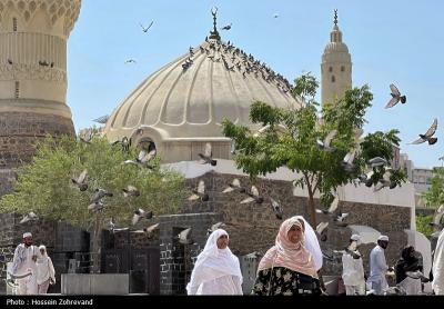 زیارت دوره زائران در مدینه منوره 