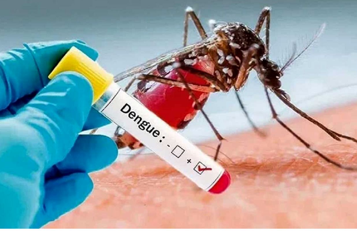 زنگ خطر «تب دنگی» در این مناطق به صدا درآمد