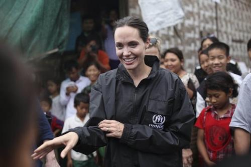 برد و آنجلینا دعوا کنند؛ ابلهان باور کنند!