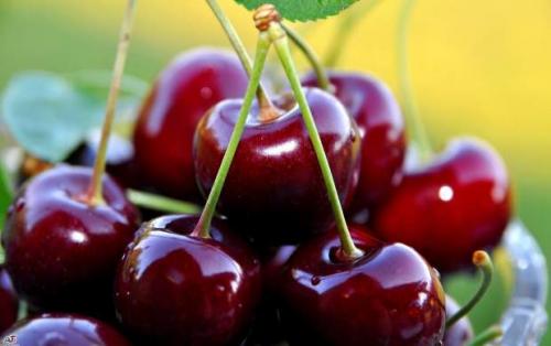 عوارض زیاده روی در مصرف گیلاس