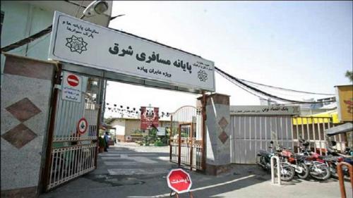 تله بهداشتی برای پشه آئدس در ترمینال 