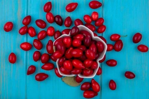چه کسانی باید زغال اخته بخورند؟