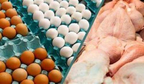  قیمت تخم مرغ شانه ای اعلام شد