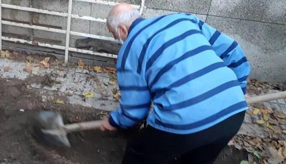 ماجرای مفقود شدن شیما