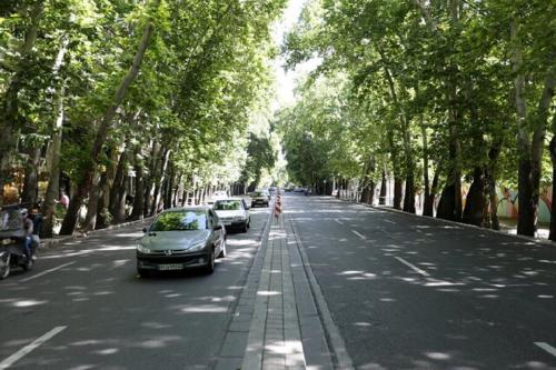 جریمه میلیاردی برای مالک متخلفی که درختان این خیابان را خشک می‌کرد+ جزئیات