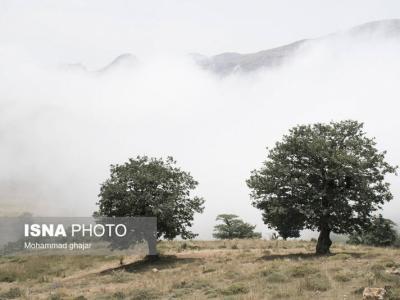 ارتفاعات جنگلی "اولنگ" استان گلستان