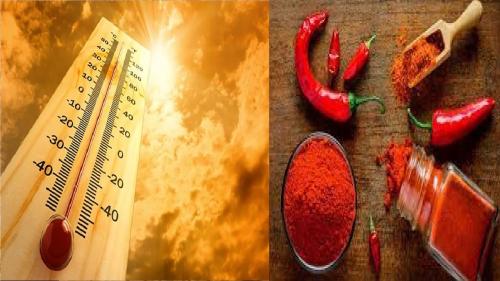 خوراکی‌هایی که در روز‌های گرم نباید بخورید 