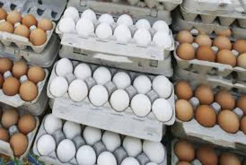 قیمت تخم مرغ امروز دوشنبه ۲۲ مرداد
