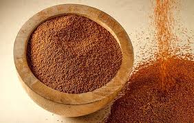  اینفوگرافیک/ خاکشیر؛ دوای هر درد