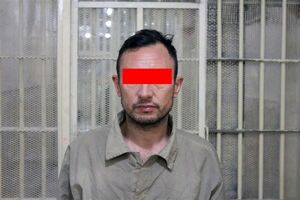  دستگیری افغانی متجاوز به زن فروشنده
