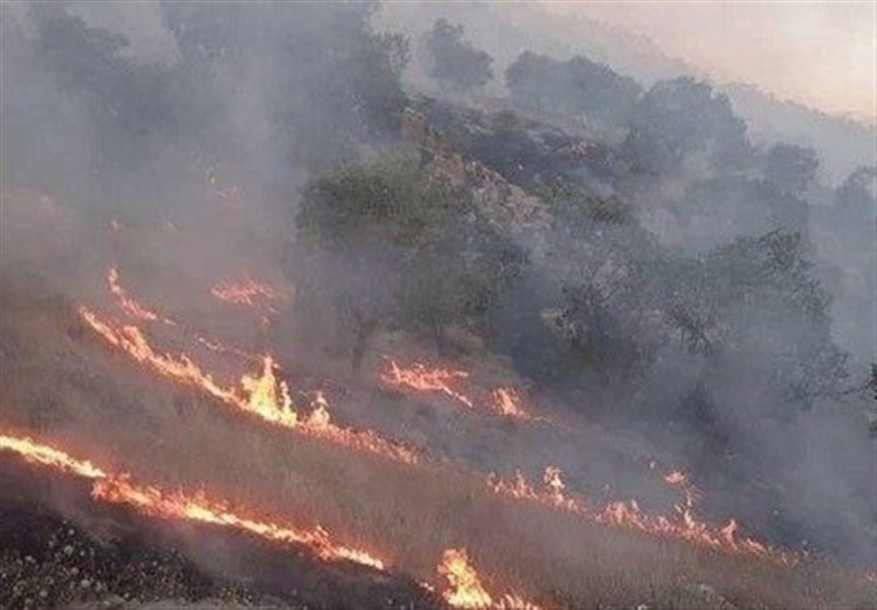 آتش‌سوزی روزانه در جنگل‌های لرستان