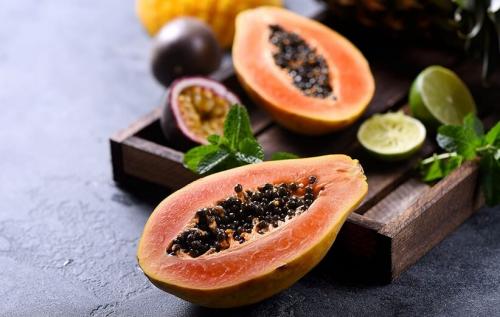 پرورش میوه پاپایا در دزفول 