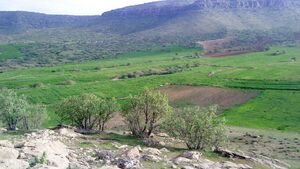 گم شدن یک کودک درکوهدشت