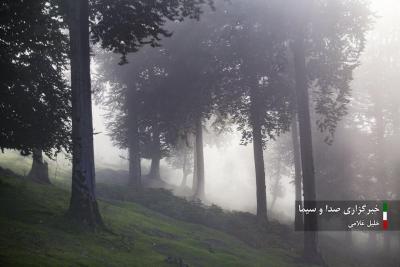 (تصاویر) دشت دامان 