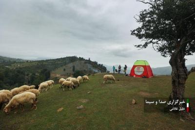 (تصاویر) دشت دامان 