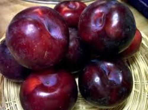  میوه‌ای مفید برای پوکی استخوان