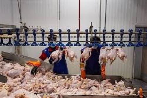 قیمت گوشت مرغ در بازار