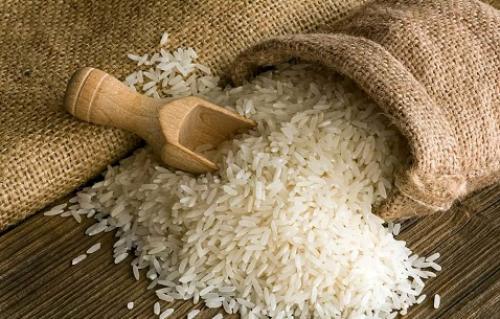  نیازی به واردات برنج نداریم