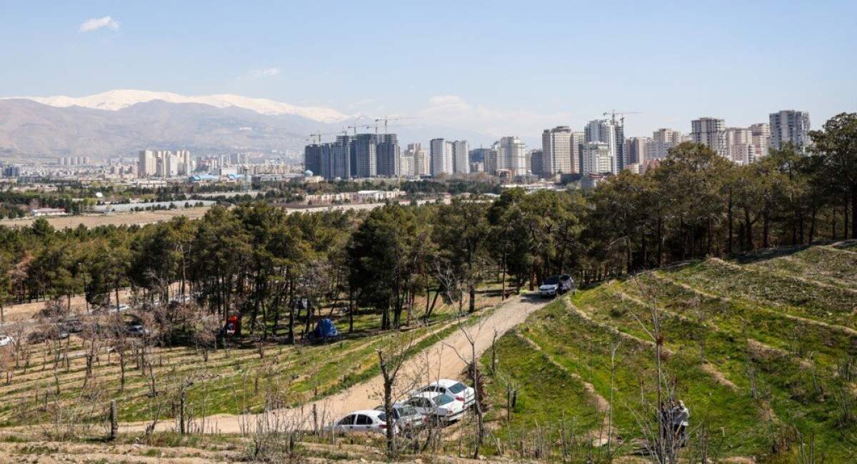 معمای کشف جسدی در پارک چیتگر