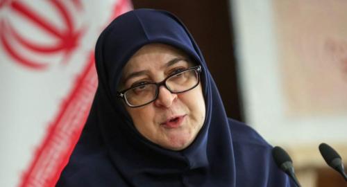 لشکرکشی خیابانی از زبان سخنگوی دولت