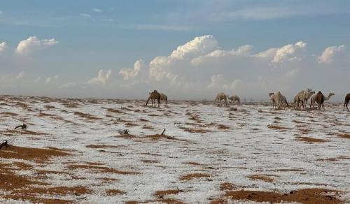 بارش تگرگ و برف در عربستان / عکس