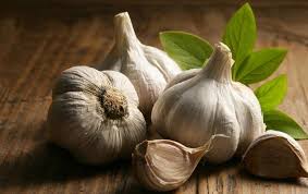  بلعیدن یک حبه سیر مفید است یا مضر؟