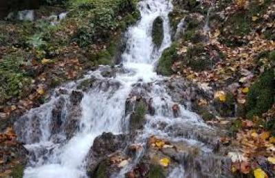 طبیعت چشم‌نواز مازندران 