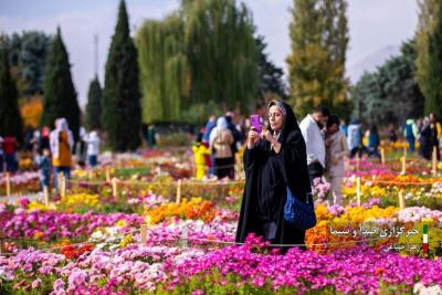 تصاویر جشنواره گل‌های داودی 