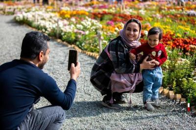 تصاویر جشنواره گل‌های داودی 