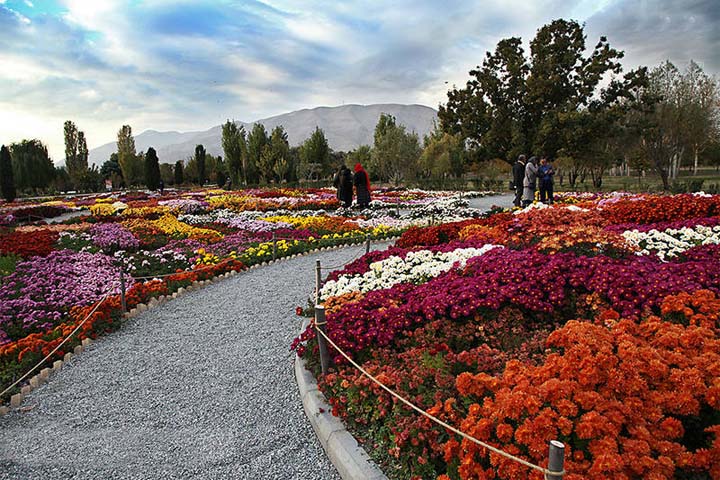تصاویر جشنواره گل‌های داودی 