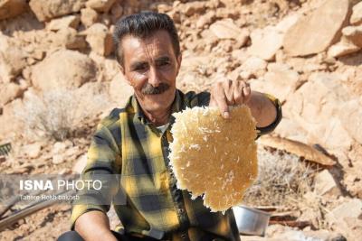 مراسم سنتی دیگجوش