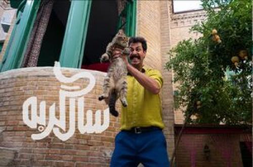 «سال گربه» روی بستر کلیشه‌های همیشگی سینمای کمدی